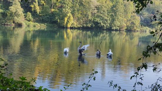passeggiata fiume adda