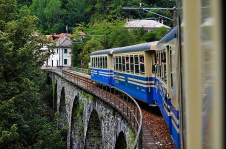 treno folliage