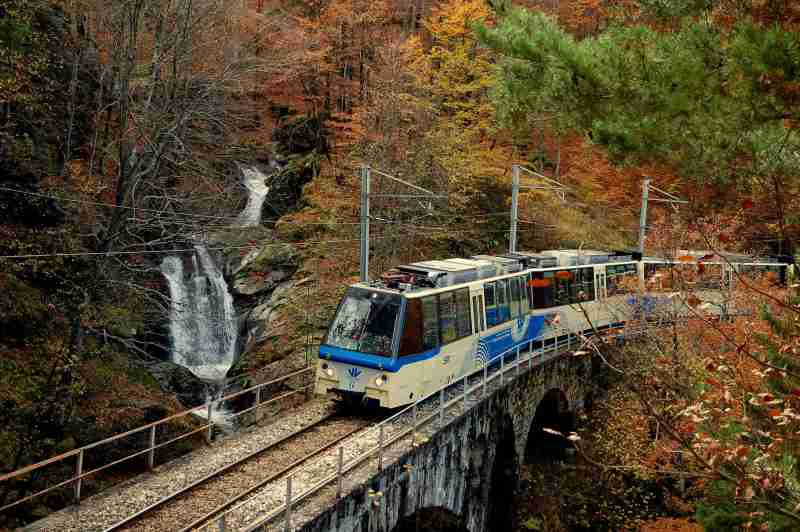 treno_foliage_bambini