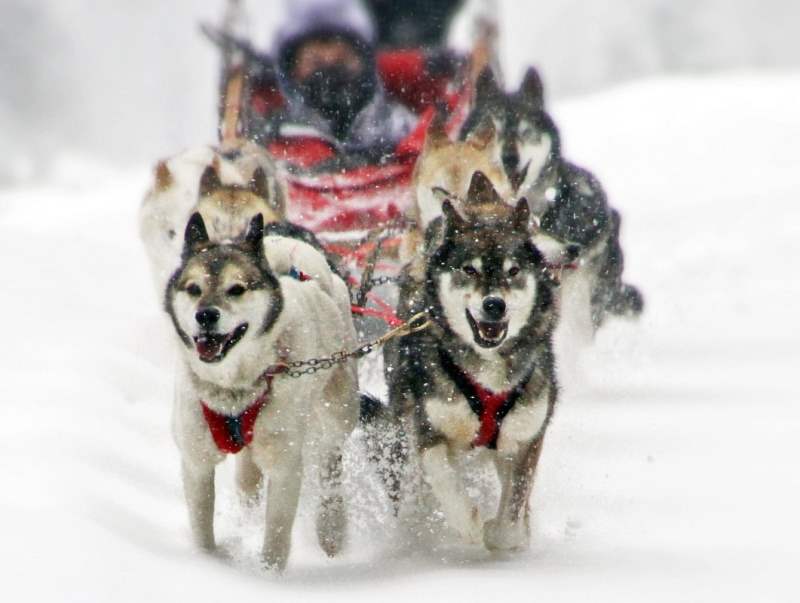 gite_lombardia_bambini_neve