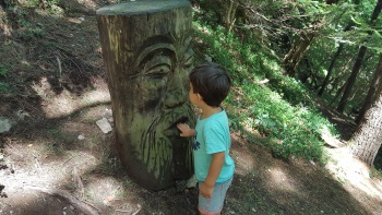 sentiero dello Spirito del Bosco sentiero dello Spirito del Bosco