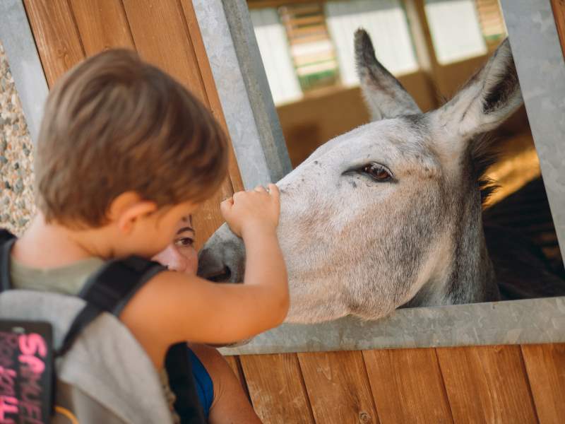 Rifugio_degli_asinelli_sala biellese