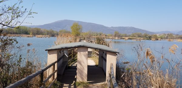 Riserva Naturale delle Torbiere del Sebino