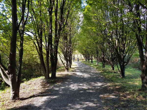 ciclabile lago di annone e oggiono ciclabile lago di annone e oggiono