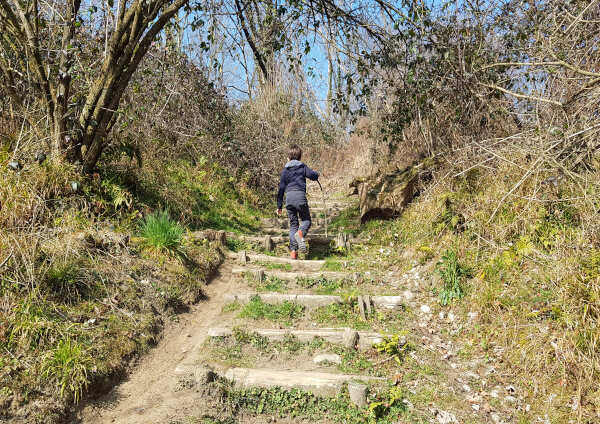 passeggiata naturalistica monte barro passeggiata naturalistica monte barro