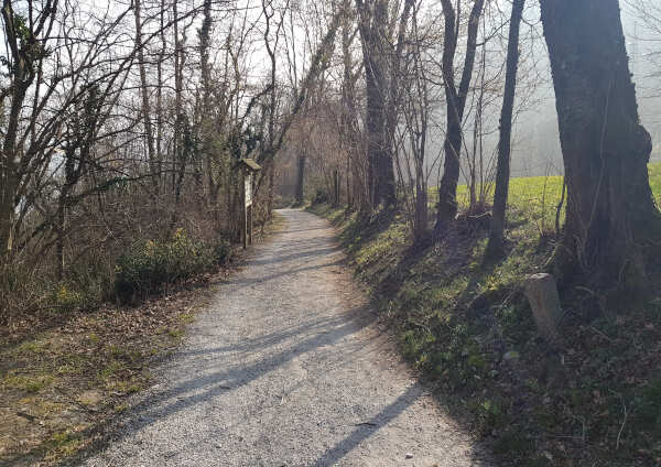 passeggiata naturalistica monte barro passeggiata naturalistica monte barro