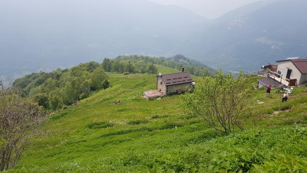 pian delle betulle passeggiat pian betulle estate bambini 8