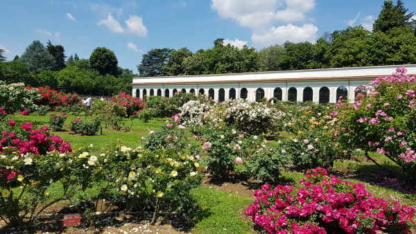 roseto serrone villa reale monza roseto serrone monza bambini2