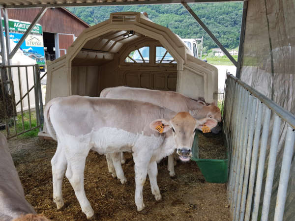 agriturismo la fiorida bambini valtellina monzaperibambini2