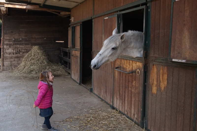 agriturismo monza la camilla agriturismo la camilla concorezzo