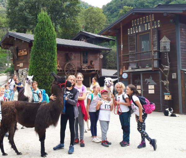 agriturismo bergamo con animali agriturismo scuderia valle bergamo