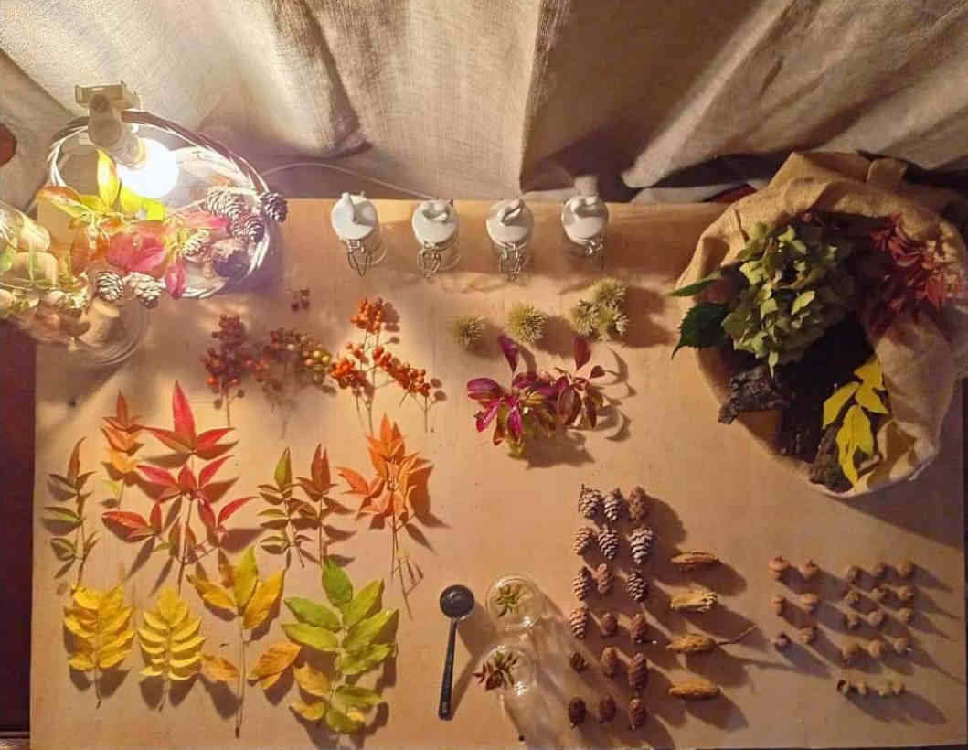 tavola elementi autunno3