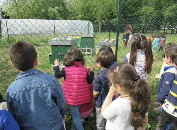 laboratorio api agriparco
