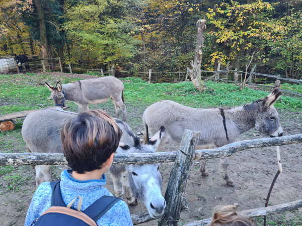 trekking asinelli montevecchia