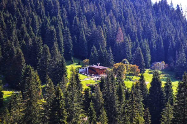 trekking valcanale bambini bosco