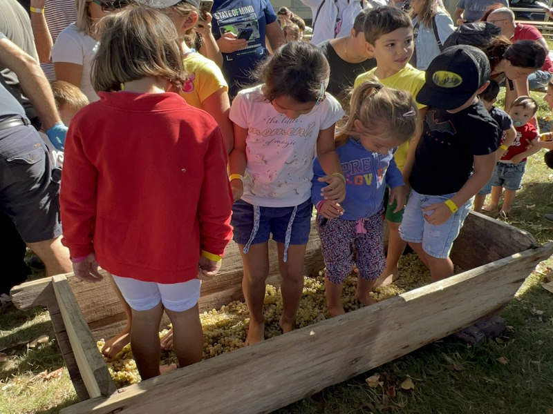 vendemmia settembre familydays