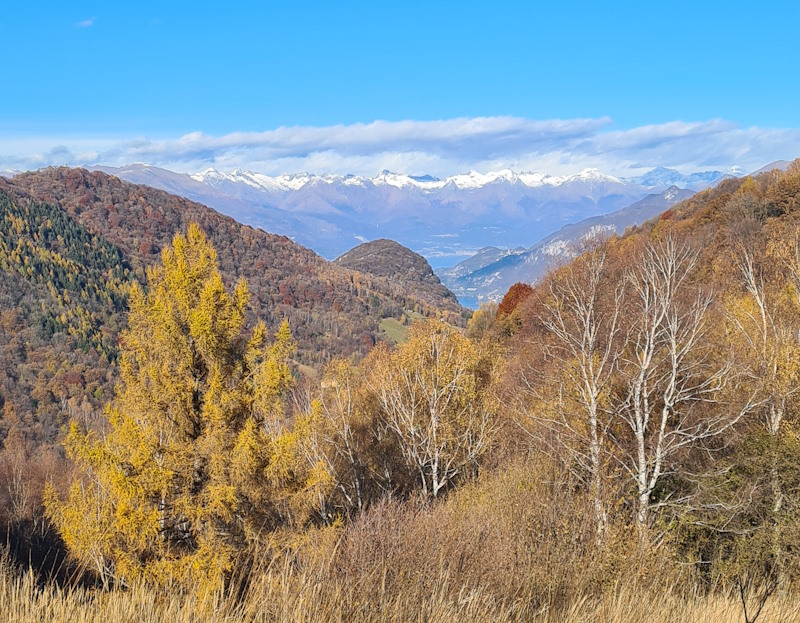 vista monte megn bambini