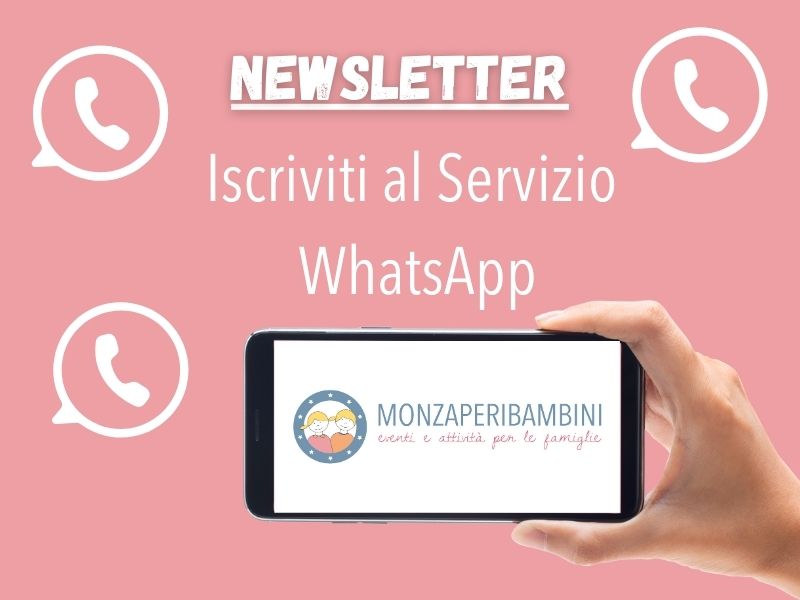 newletter whatapp