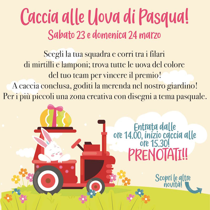 Caccia alle Uova di Pasqua3