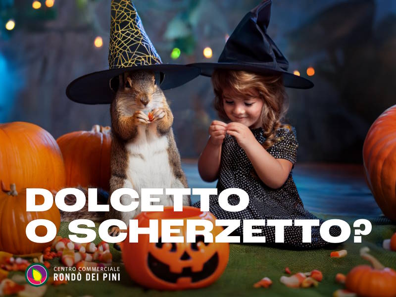 RDP Halloween Rondo 24
