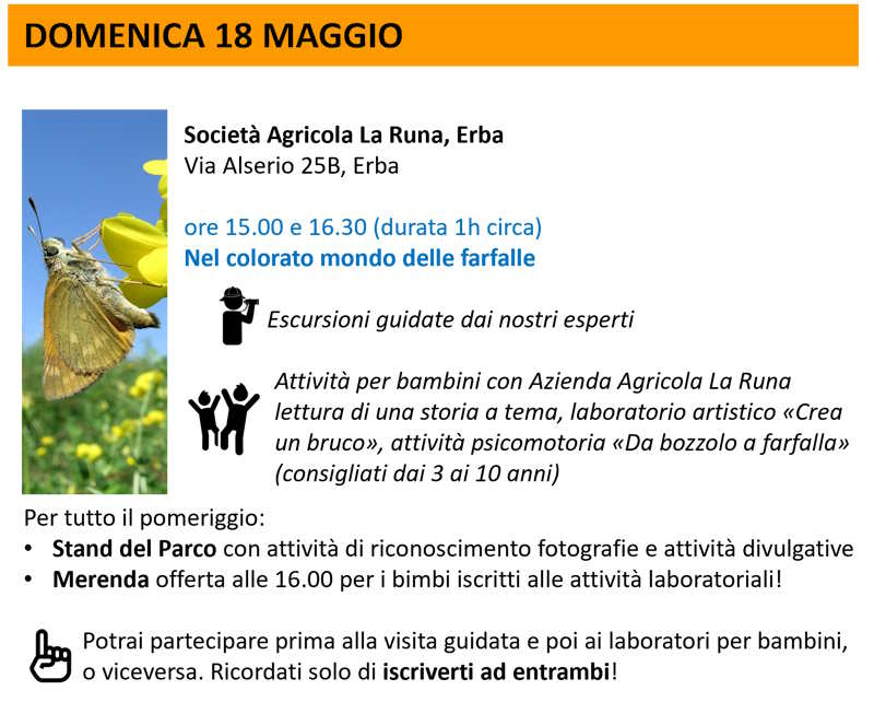 la runa 1
