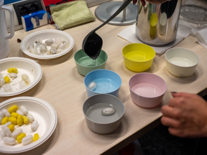 laboratorio bozzoli