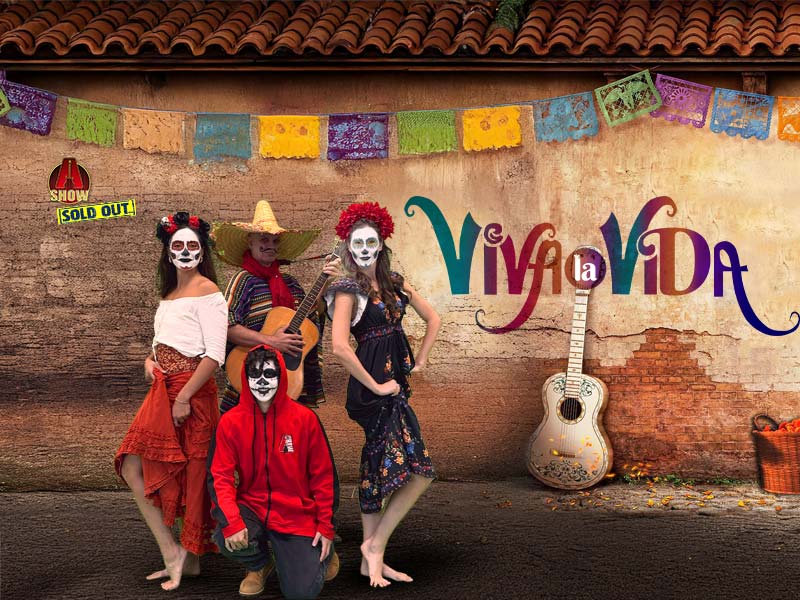 VivaLaVida 800x600