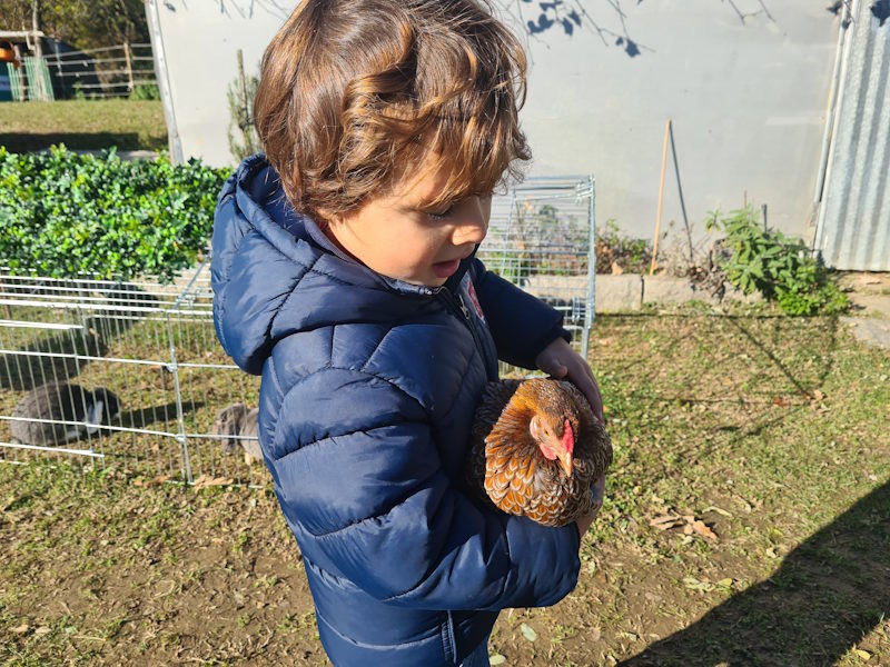 Fattorie didattiche per bambini con animali vicino a Monza