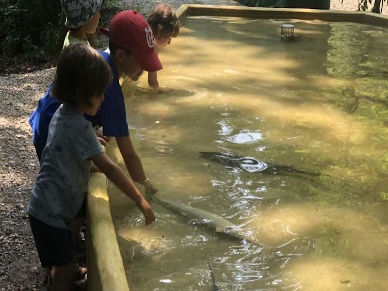parco ittico paradiso gita bambini monza
