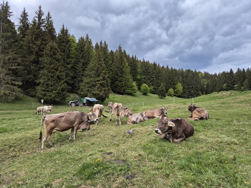 TREKKING VAL SORDA BAMBINI BORNO 2