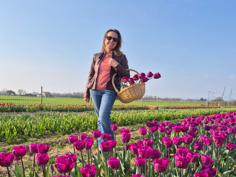 campo tulipani shiring ornago3