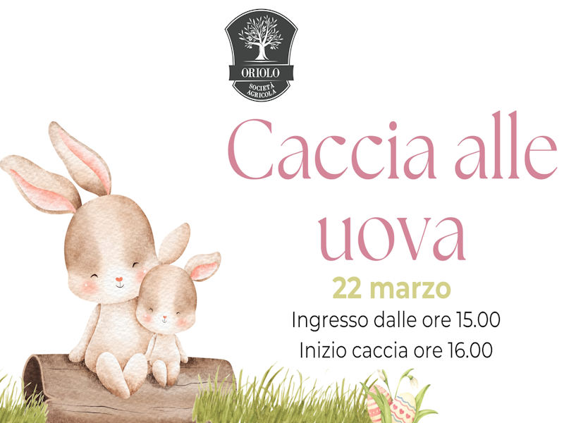 caccia uova oriolo 26