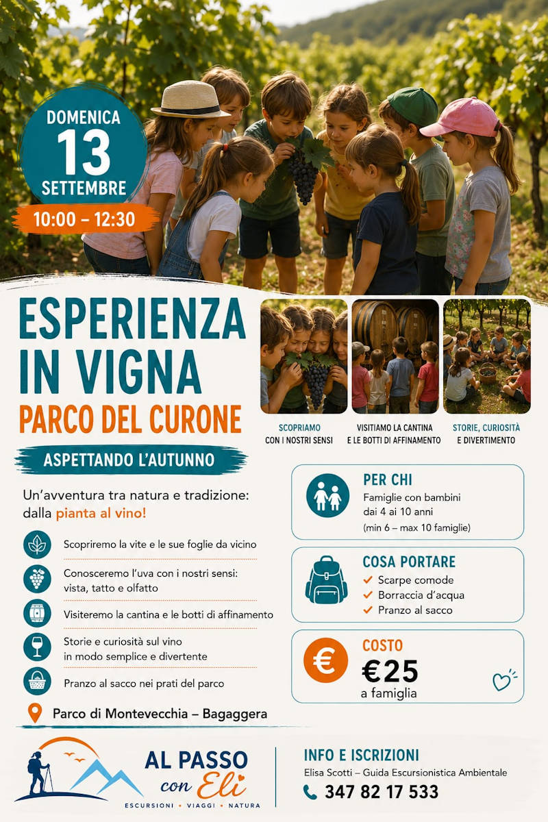 esperienza in vigna 2026