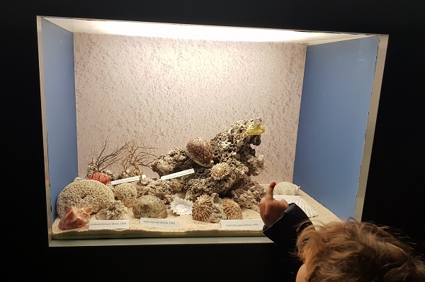 acquario civico milano bambini