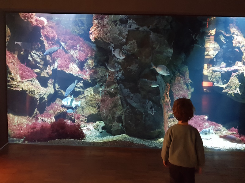 Acquario Civico di Milano