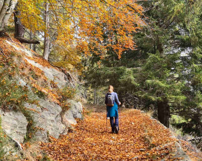 autunno monte legnoncino