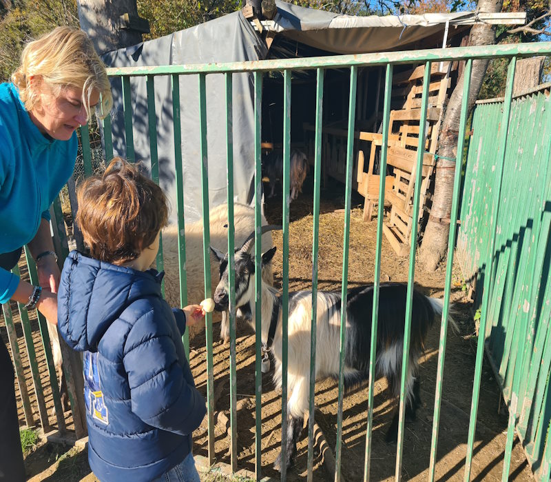 bambini fattoria arcore2