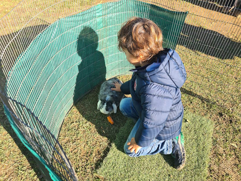 bambini fattoria arcore4