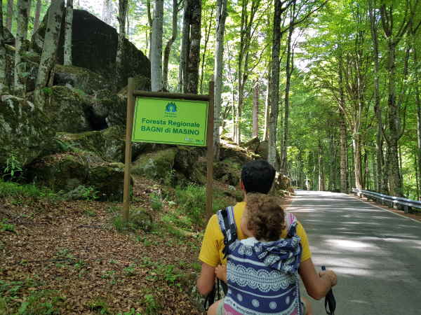 Foresta Bagni di Masino