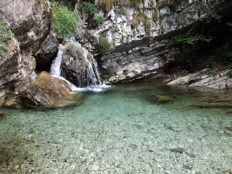 pozze di erve con i bambini