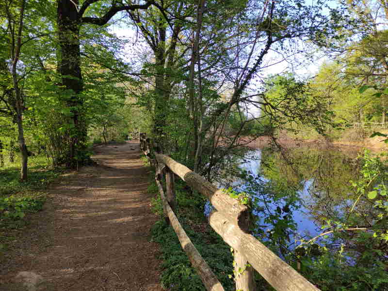 Bosco di Cabiate