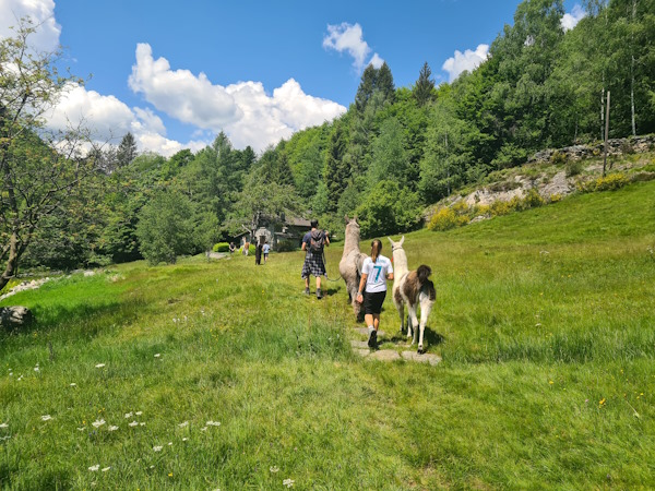 lama trekking ticino bambini