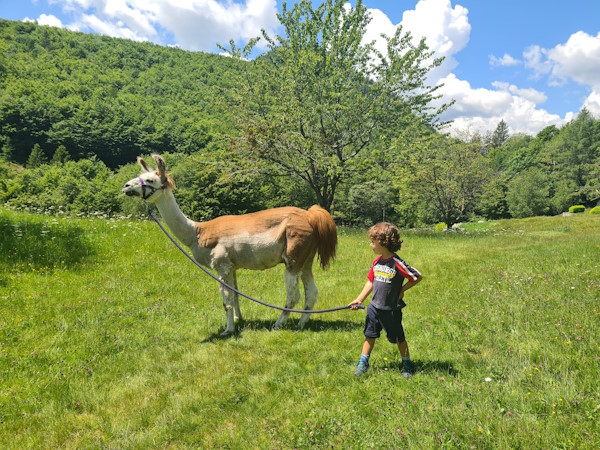 lama trekking ticino bambini 2