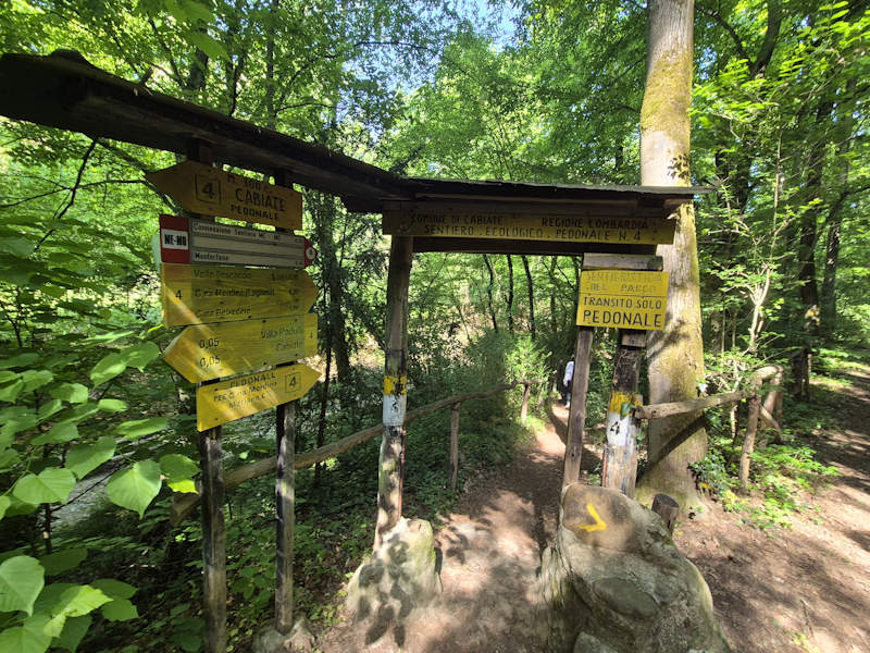 ponticelli bosco cabiate