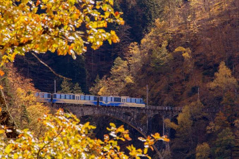 Il Treno del Foliage: la ferrovia Vigezzina-Centovalli!!