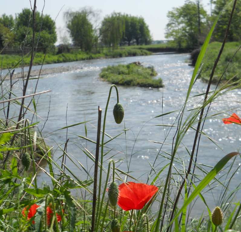 Il Parco Molgora
