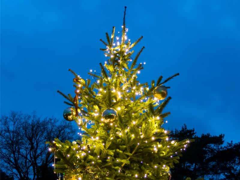 albero natale città