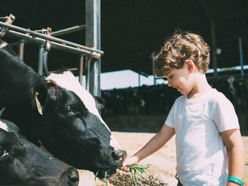 Agriturismi per bambini vicino Monza e Milano