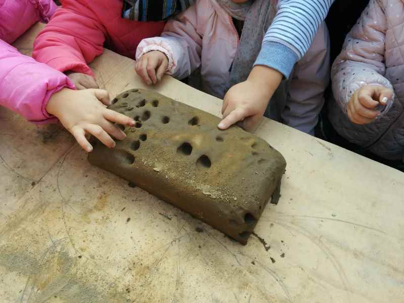 coltivare_arte_bambini