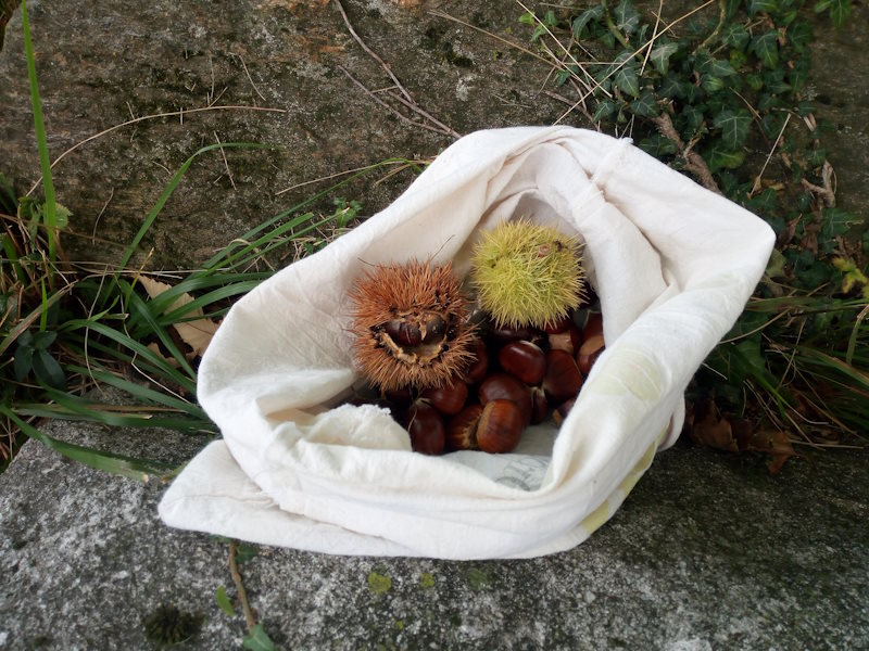 castagnata rezzonico